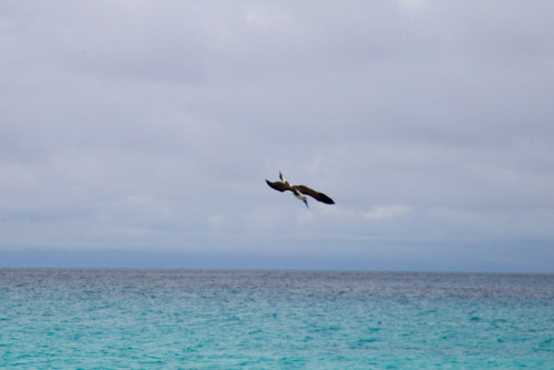 IMG_1738.jpg